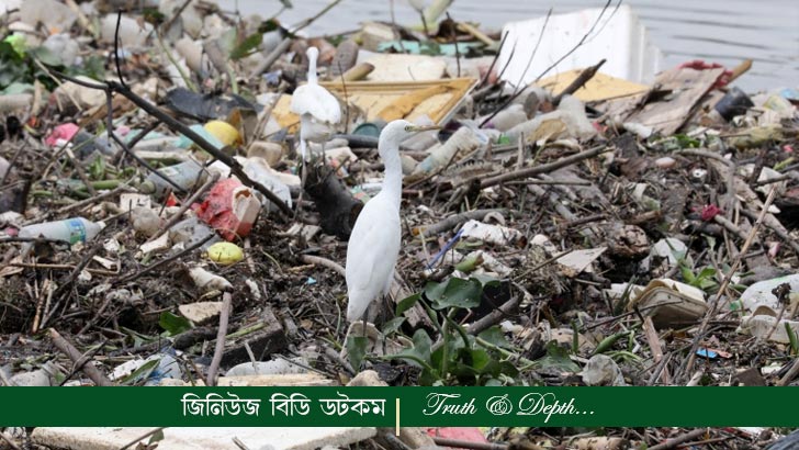 খাদ্য অপচয়
