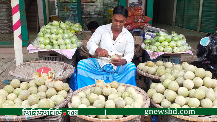 রাস্তার ধারের টক-ঝাল-মিষ্টি কতবেল